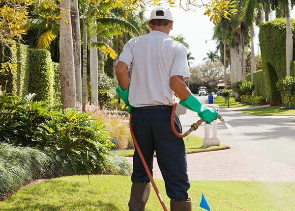 About Lake Harmony PA Pest Control
